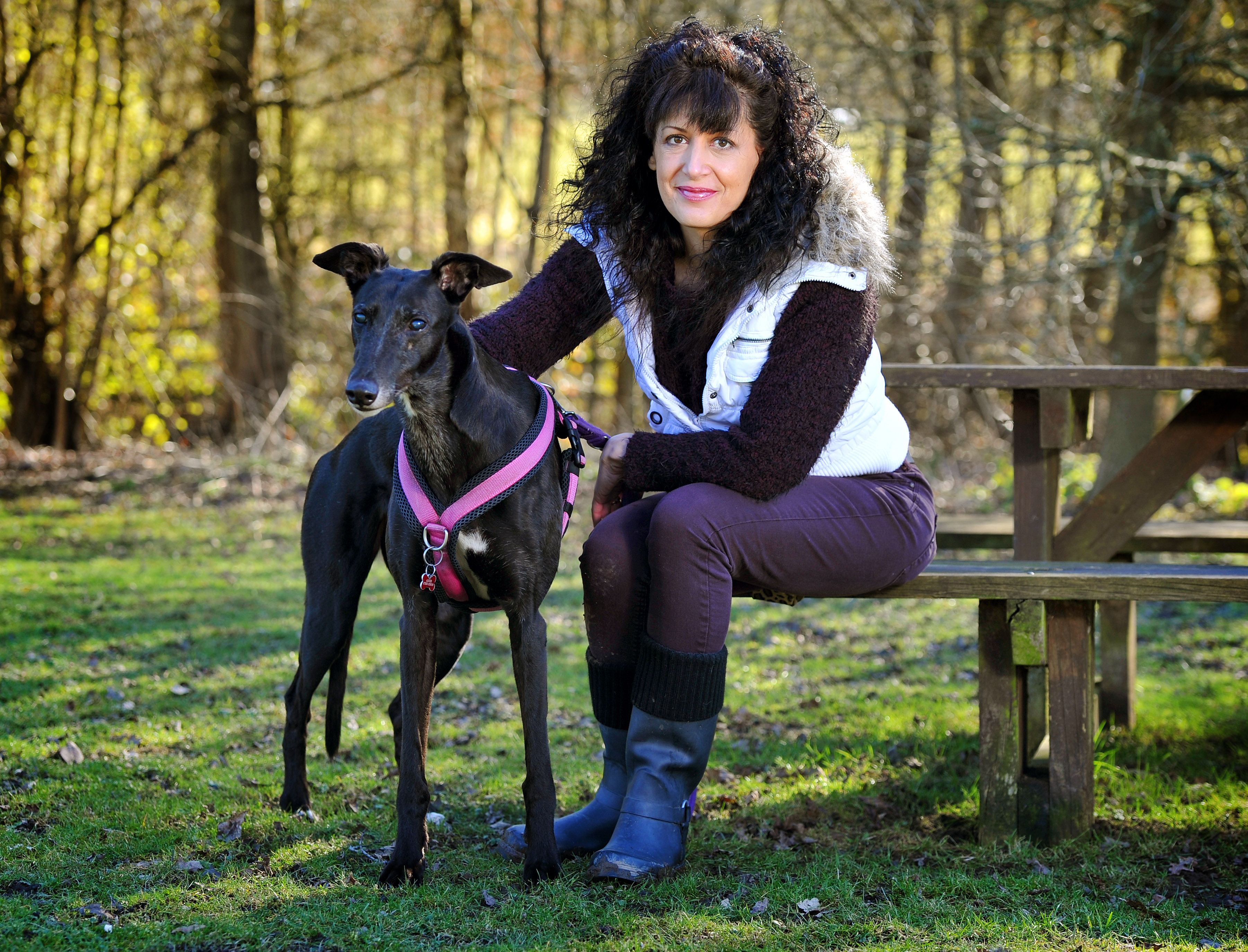 Nikki Brown: The UK’s Natural Dog Whisperer