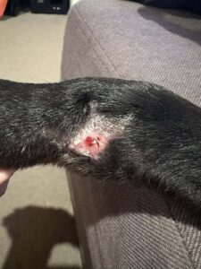 Bruce’s Remarkable Recovery