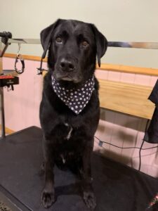 Bruce’s Remarkable Recovery