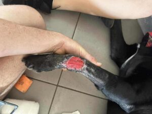 Bruce’s Remarkable Recovery