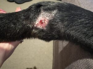 Bruce’s Remarkable Recovery