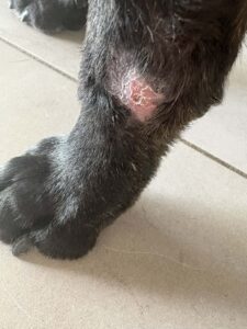 Bruce’s Remarkable Recovery