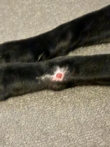 Bruce’s Remarkable Recovery