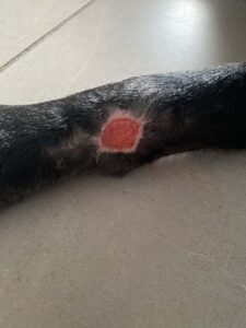 Bruce’s Remarkable Recovery