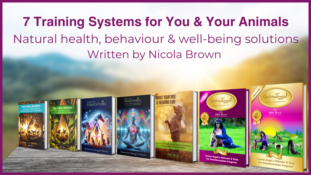 Canine Angel natural health and behaviour training resources for people and animals