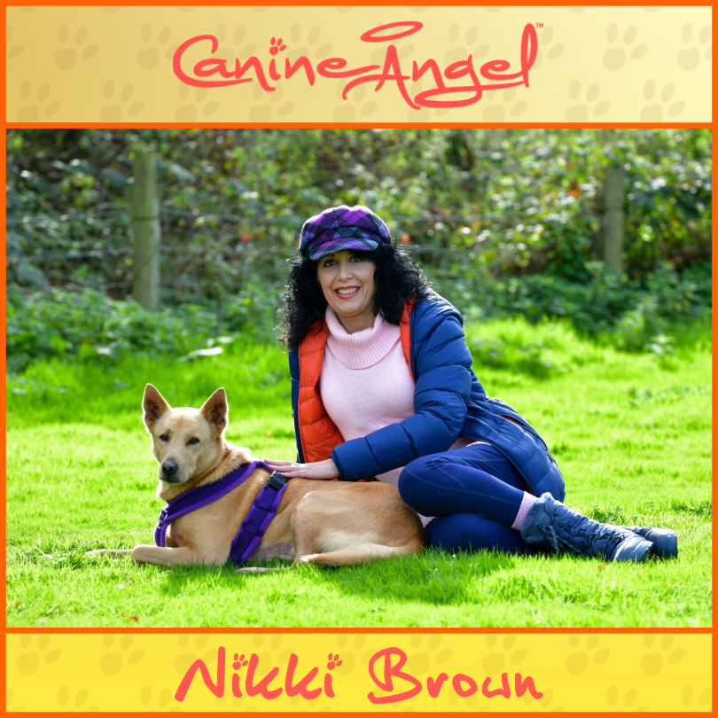 Nikki Brown sitting on grass with a rescue dog during a natural pet consultation
