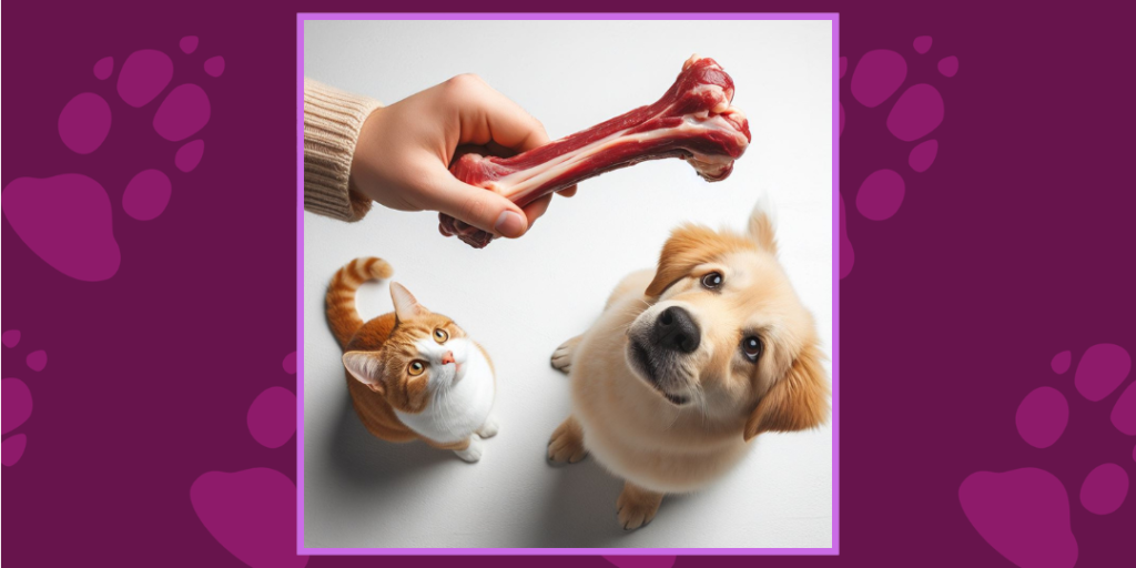 Dog and cat looking up at raw meaty bones being offered by hand, representing natural raw feeding for dogs and cats