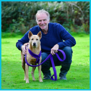 Guy with Mr Knight rescue dog Thailand Soi Dog transformation