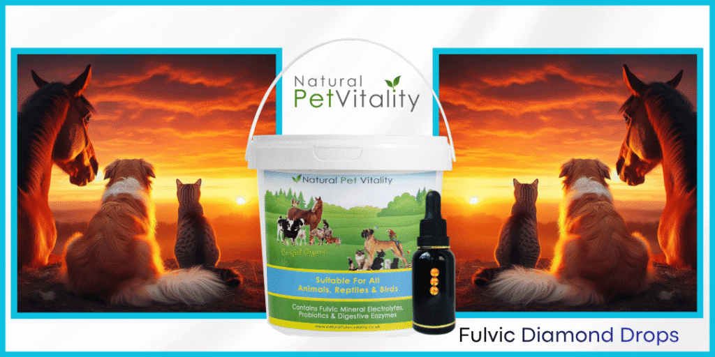 Natural Pet Vitality Bundle supporting dogs, cats and horses with natural nutrition, hydration and mineral support