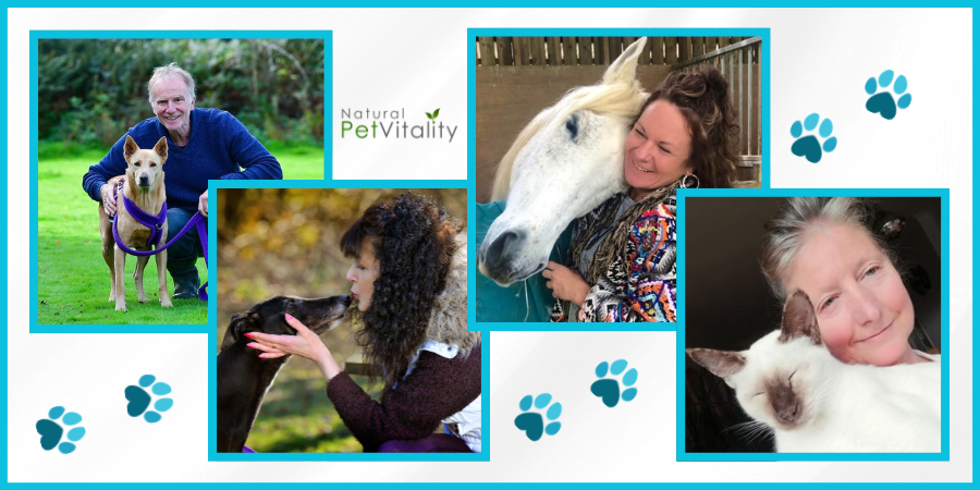 Natural Pet Vitality Bundle Real Life Client Testimonials