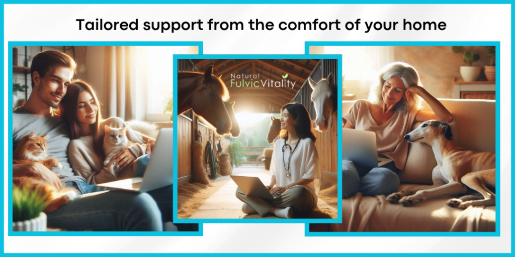 Online animal consultation showing dogs cats and horses receiving support from home via laptop in calm home and stable environments