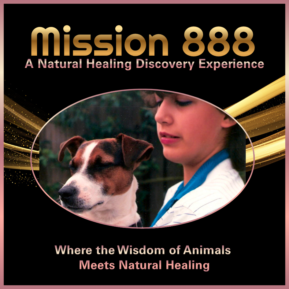 Nikki Brown with Jake, the Jack Russell Terrier who inspired the beginning of Canine Angel and the Mission 888 journey