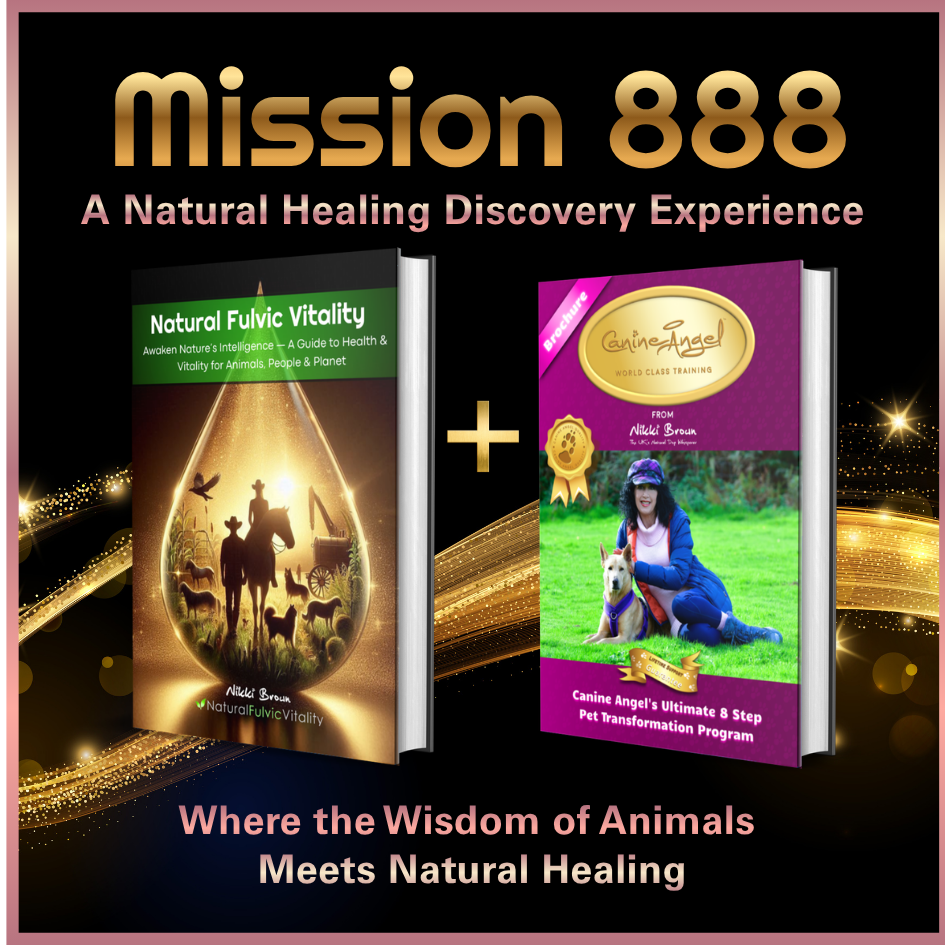 Mission 888 Healing Experience learning resources and supporting materials from Canine Angel