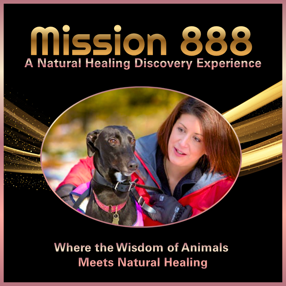 Nikki Brown with Annie, the Greyhound rescue dog who helped shape the Canine Angel journey and Mission 888 story