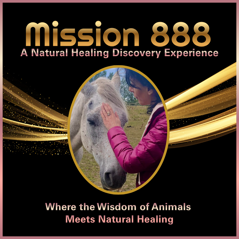Nikki Brown with Mischief the horse, a special teacher in the Canine Angel Mission 888 healing journey