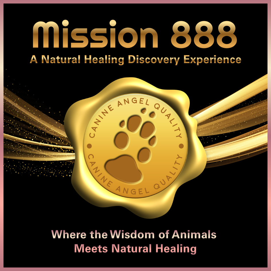 Canine Angel Mission 888 Healing Experience frequently asked questions and natural wellbeing event with Nikki Brown