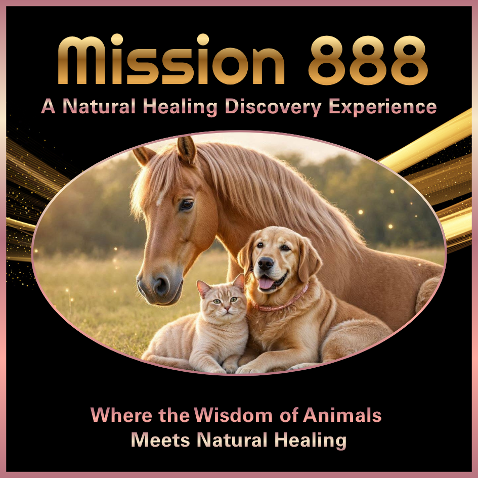 Dog, cat and horse together representing the connection between humans and animals at the Canine Angel Mission 888 Healing Experience