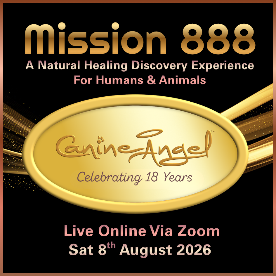 Mission 888 Healing Experience celebrating 18 years of Canine Angel with Nikki Brown natural healing event logo