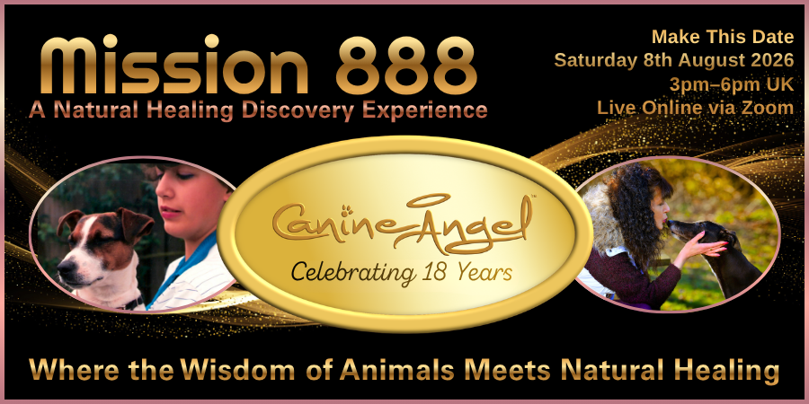 Mission 888 Canine Angel 18th Birthday Natural Healing Discovery Experience event banner with Nikki Brown