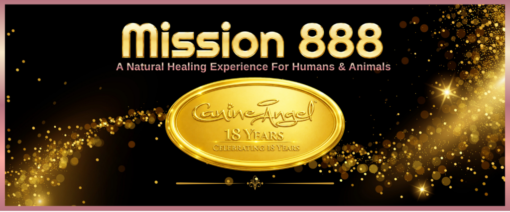 Mission 888 Canine Angel Online Event for Humans & Animals